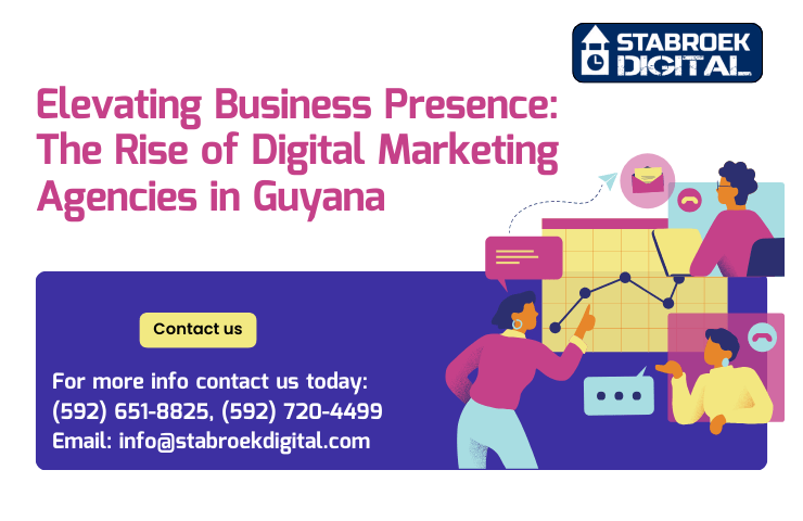 Digital Marketing Agencies in Guyana